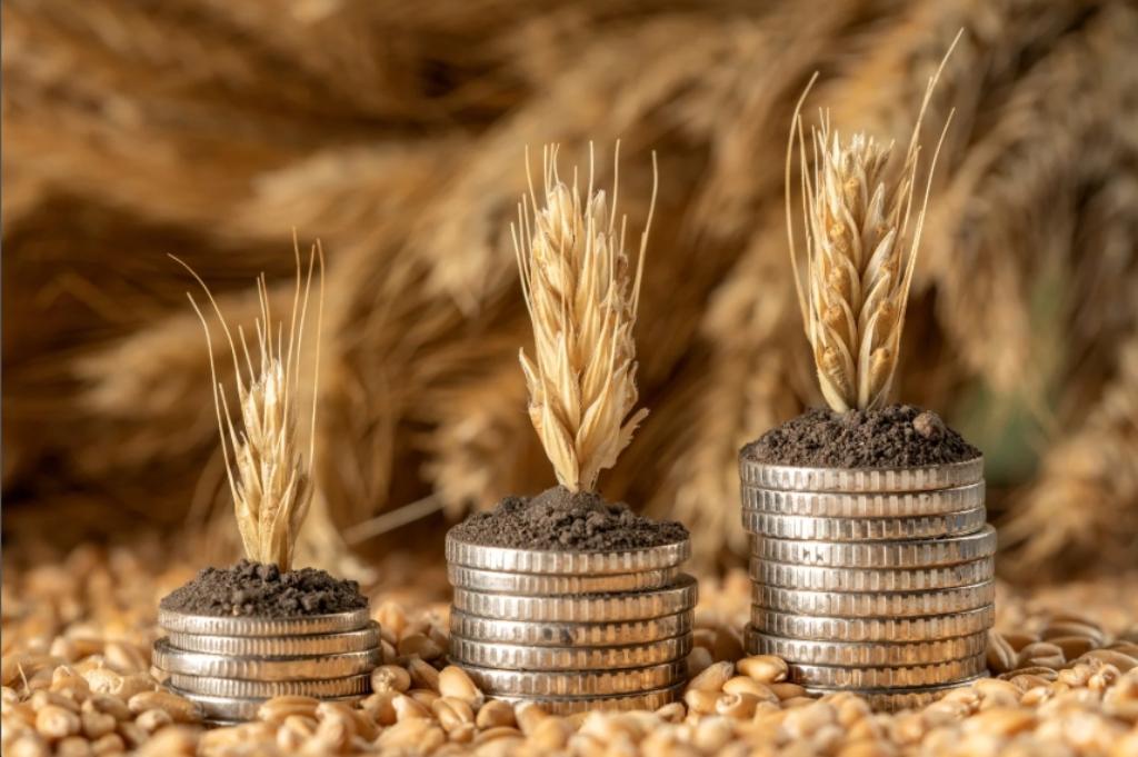 Coordination et Mobilisation des Financements pour le Secteur Agricole