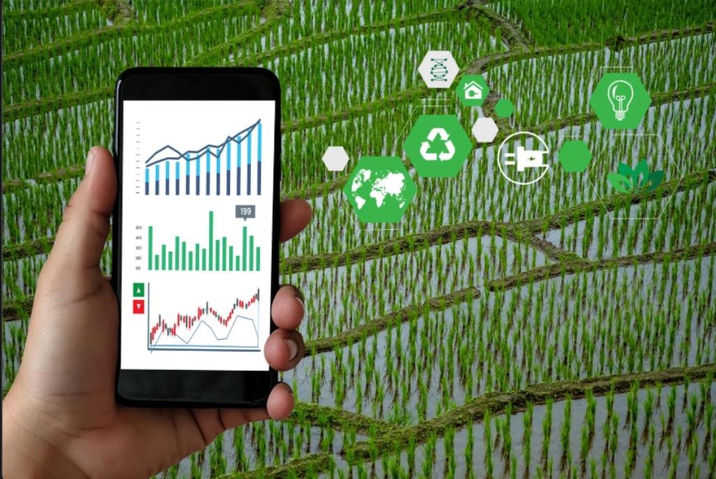 Digitalisation de l’Agriculture et Accès à l’Information