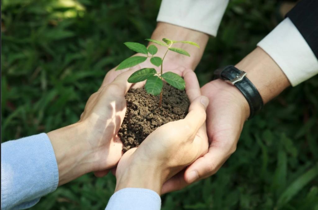 Appui aux Politiques Agricoles et Institutionnelles