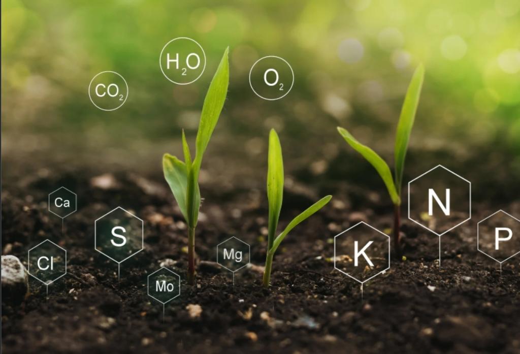 Gestion des Intrants Agricoles et Amélioration de la Fertilité des Sols