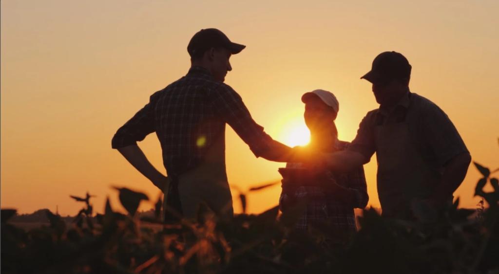 Accompagnement des Organisations Paysannes et du Secteur Privé Agricole