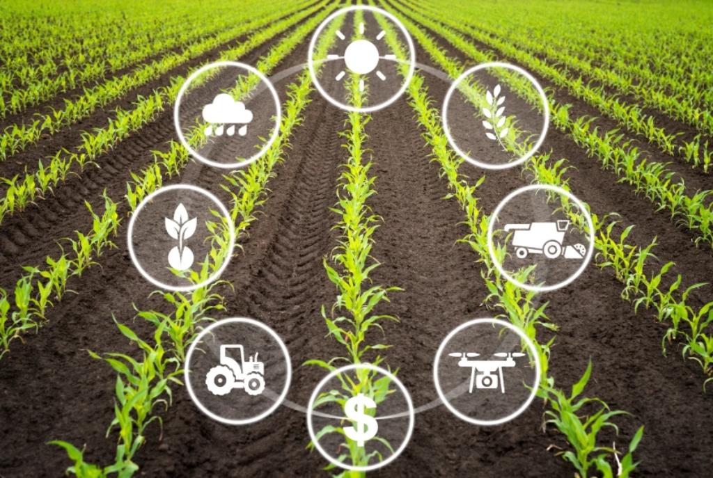 Mise en Place de Solutions d’Agriculture Durable et Intelligente Face au Climat