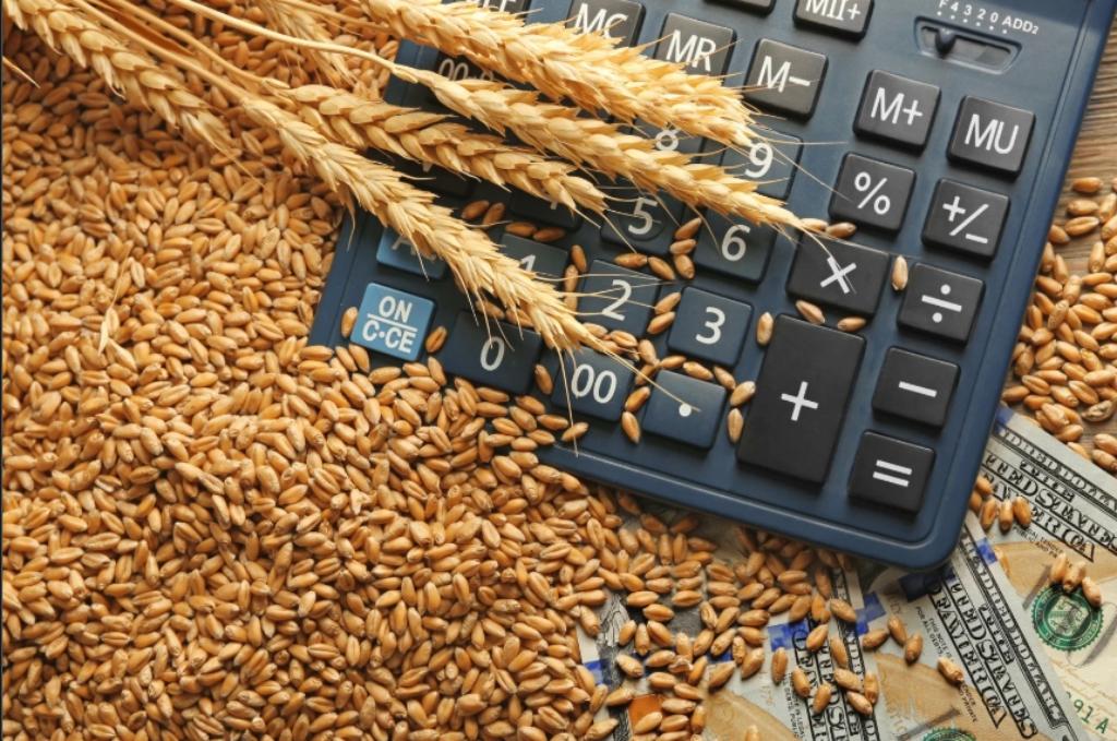 Suivi et Évaluation des Projets Financés par les Bailleurs Internationaux